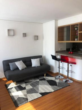 Aparment Suite Paseos del Lago